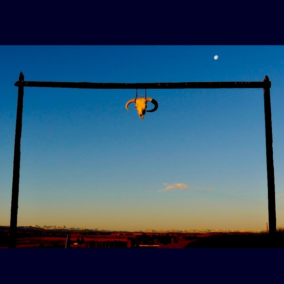 Meet your Posher, Amanda - Picture 1 of 1